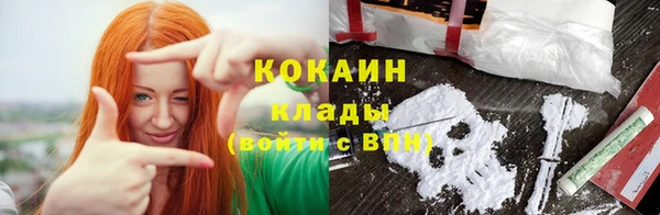 соль ск Алзамай