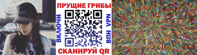 Галлюциногенные грибы мицелий  продажа наркотиков  Шелехов 